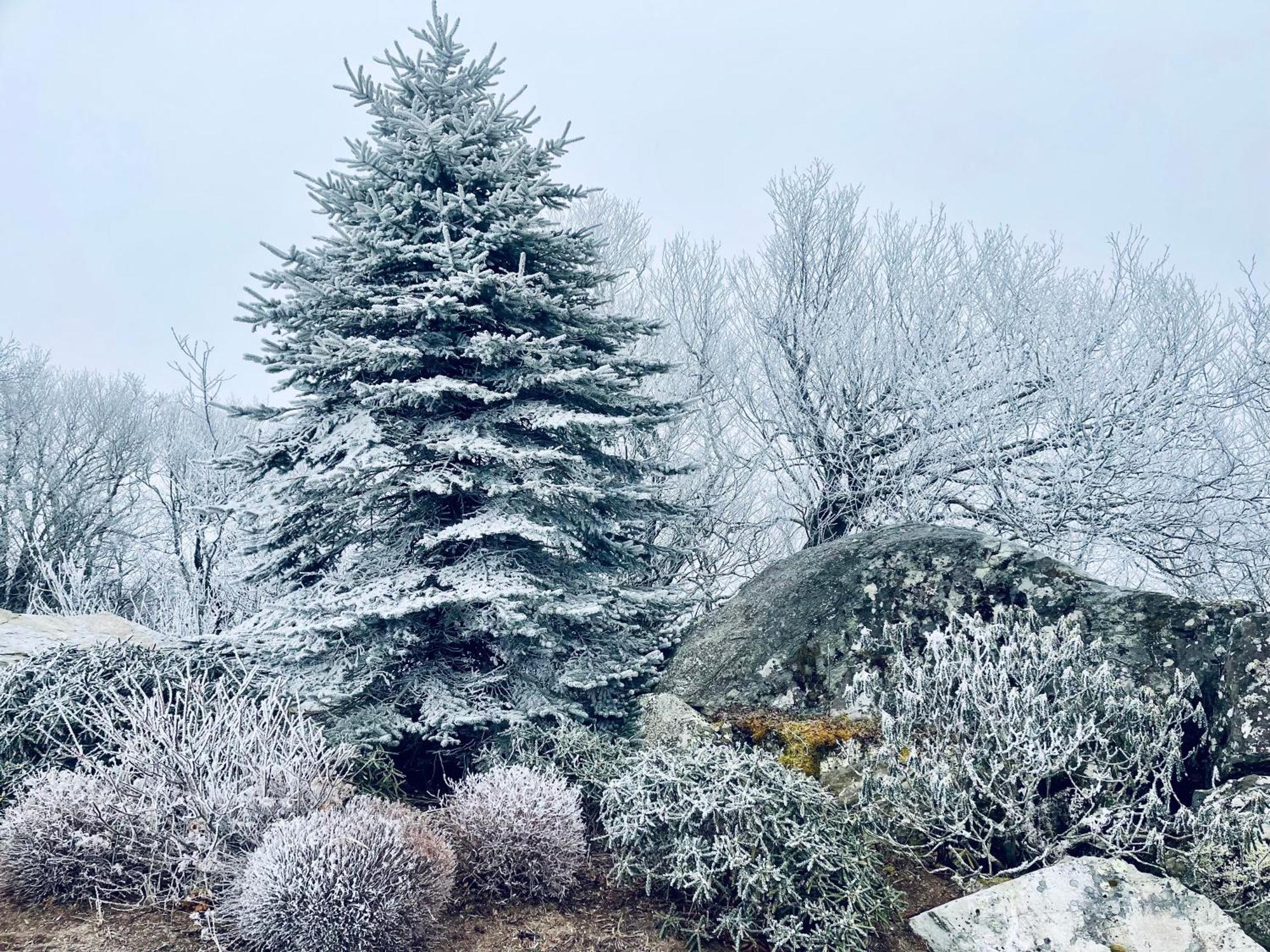 Bucket List Views Sugar Mountain Private Condo - 2Bed, 2Bath, Sleeps 6, Panoramic Views Of Mountains From Large Deck, Short Drive To Shopping, Restaurants, Cafes & Banner Elk Town Exterior foto